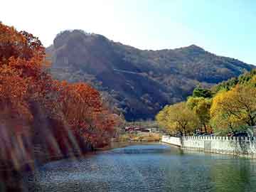 新澳天天开奖资料大全旅游团，正定物流